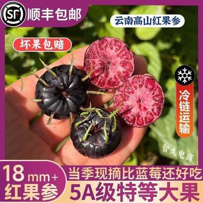 顺丰云南红果参新鲜当季水果