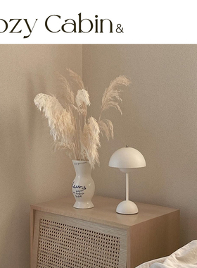 清仓折扣Cozy Cabin&Tradition现货北欧丹麦进口复古花苞台灯VP9