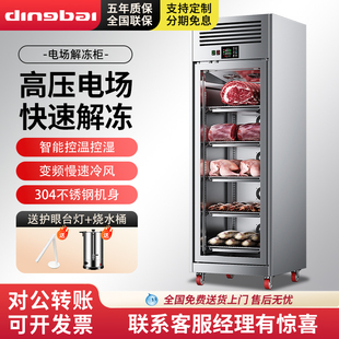 商用解冻柜高压静电解冻低温冷藏大容量抑菌猪羊牛肉化冻机排酸柜