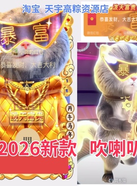 斑布猫微红包封面2026新款DJ财神动态皮肤暴富小猫吹喇叭新年微信