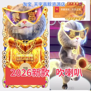 斑布猫微红包封面2026新款DJ财神动态皮肤暴富小猫吹喇叭新年微信