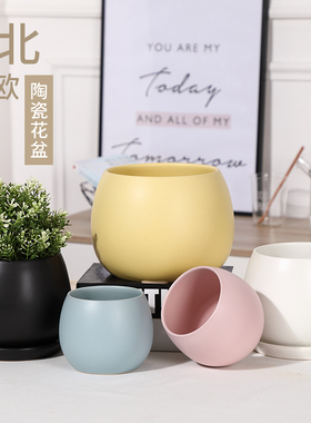 ins陶瓷花盆带托盘马卡龙颜色简约球形哑光灰色白色绿萝多肉花盆