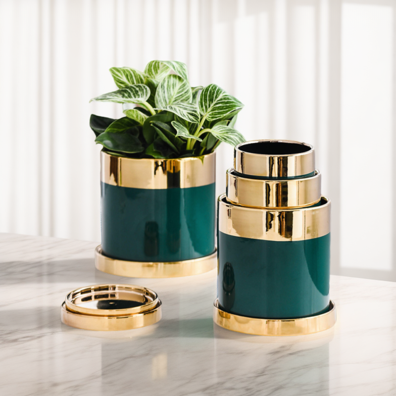 轻奢陶瓷花盆金边祖母绿家用创意大号带托盘绿植花卉网红蝴蝶兰盆,鲜花速递/花卉仿真/绿植园艺,花盆,淘宝优惠券,粉丝福利购,淘宝优惠卷