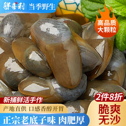 泥螺即食罐装黄泥螺鲜活特大醉泥螺生腌舟山特产宁波海鲜海螺无沙