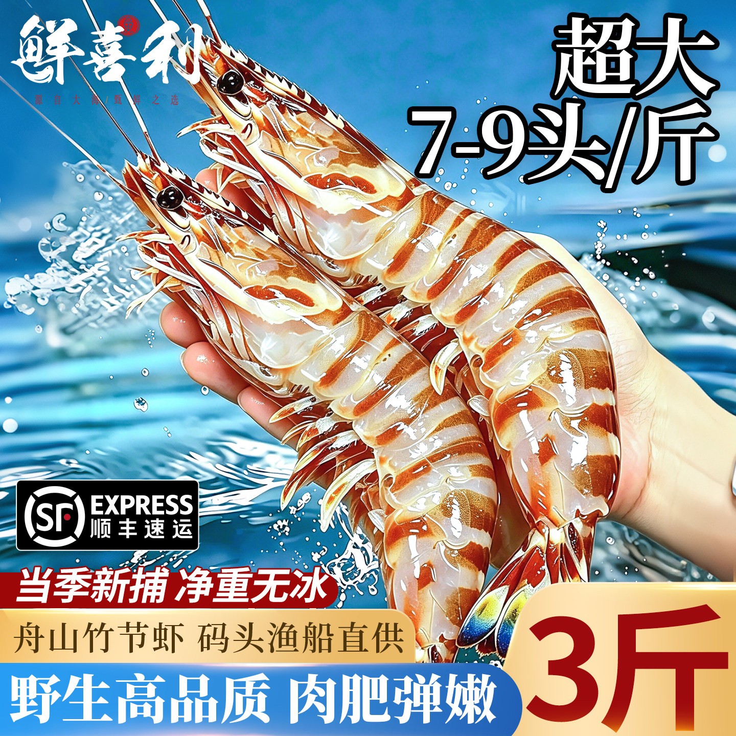 【3斤超大野生】舟山竹节虾图片