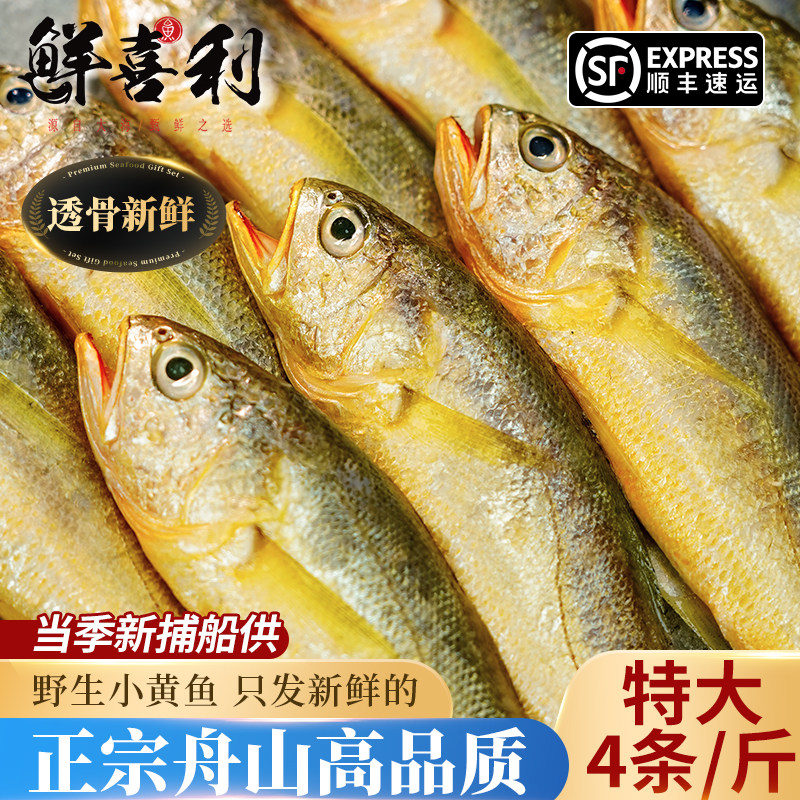真正舟山小黄鱼新鲜冷冻深海海鲜水产黄花鱼生鲜冰鲜海鱼商用烧烤