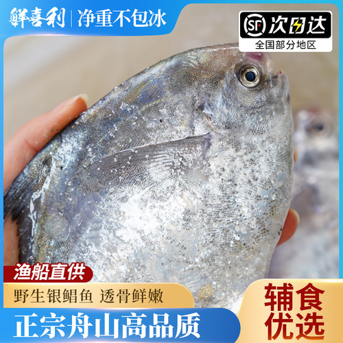 野生银鲳鱼新鲜冷冻舟山海鲜昌扁鱼鲜活冷冻水产平鱼大白鲳鱼镜鱼