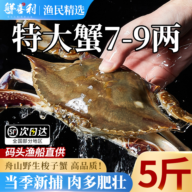 【5斤特大7-9两/只】舟山梭子蟹