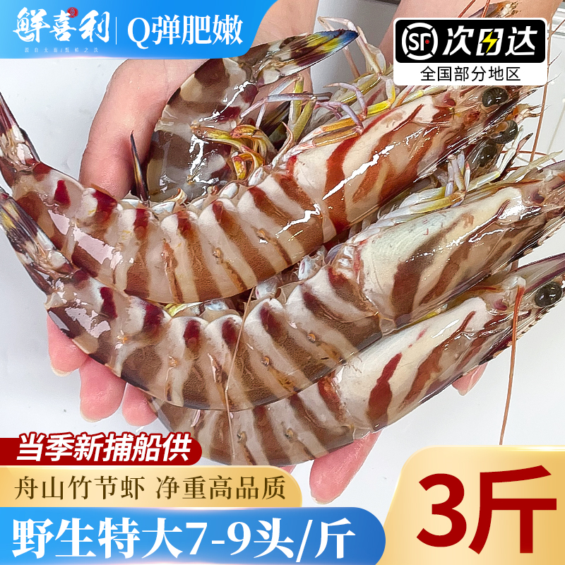 【3斤渔船直供】舟山竹节虾