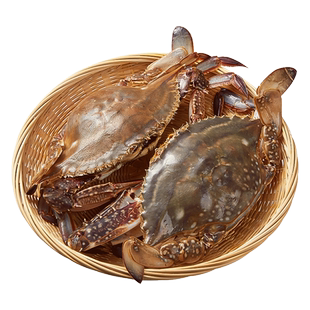 梭子蟹特大母蟹野生舟山大螃蟹新鲜冷冻海蟹飞蟹肉蟹白蟹海鲜顺丰