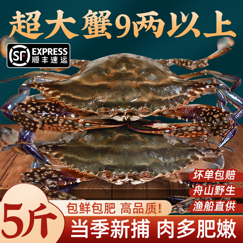 梭子蟹特大野生舟山大螃蟹新鲜冷冻蟹海鲜水产飞蟹白蟹肉公蟹顺丰