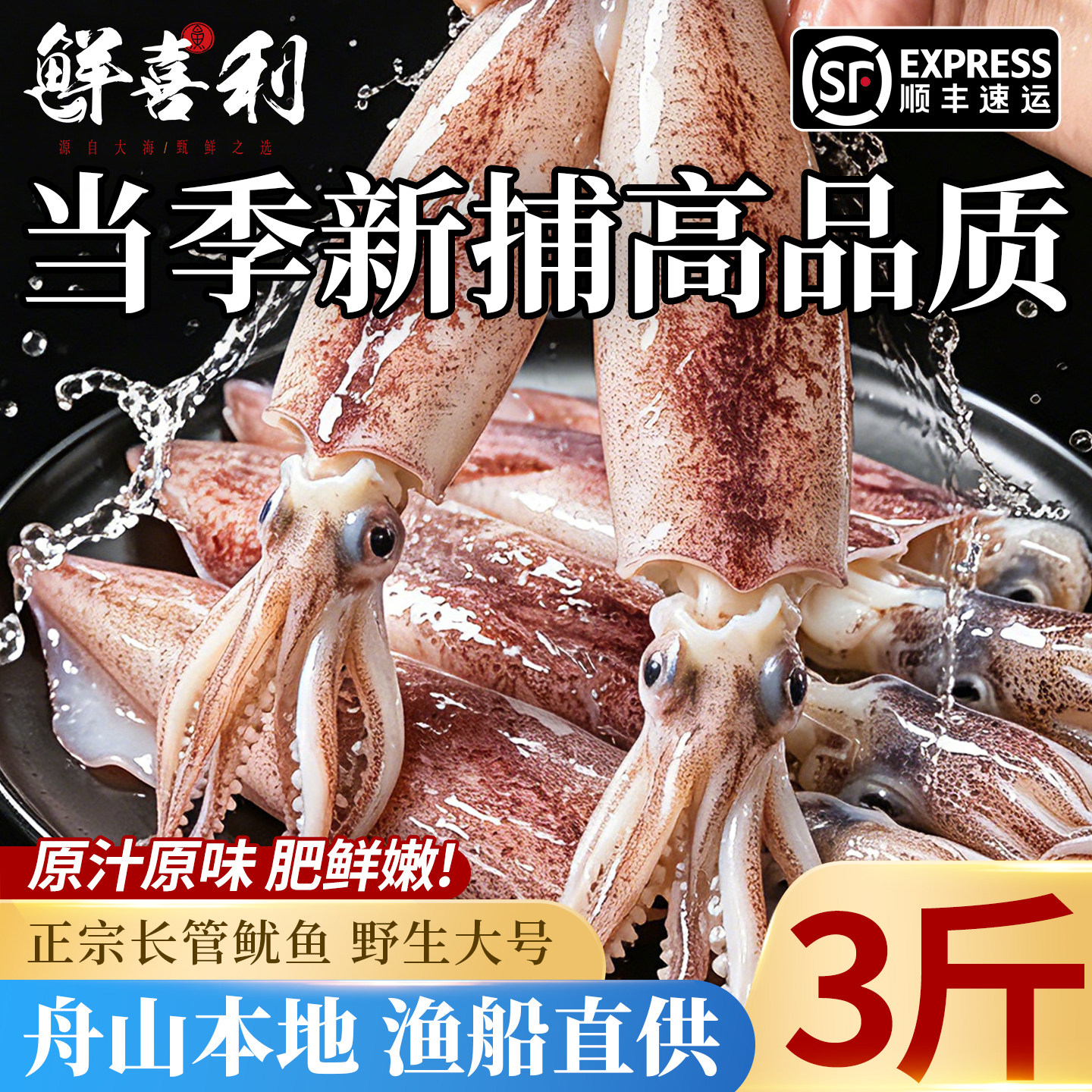 【3斤新捕船供】舟山长管鱿鱼