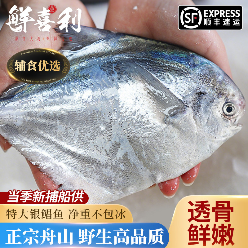 野生银鲳鱼新鲜冷冻舟山海鲜昌扁鱼鲜活速冻水产平鱼大白鲳鱼镜鱼
