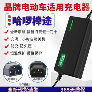 适用哈啰棒途志讯电动车48V12AH20AH60V20AH72V20A断电专用充电器