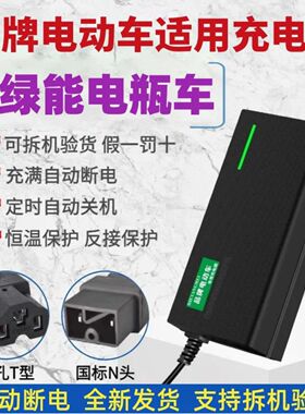 适用绿能电动车电瓶48V12AH48V20AH60V72V20AH自动断电关机充电器