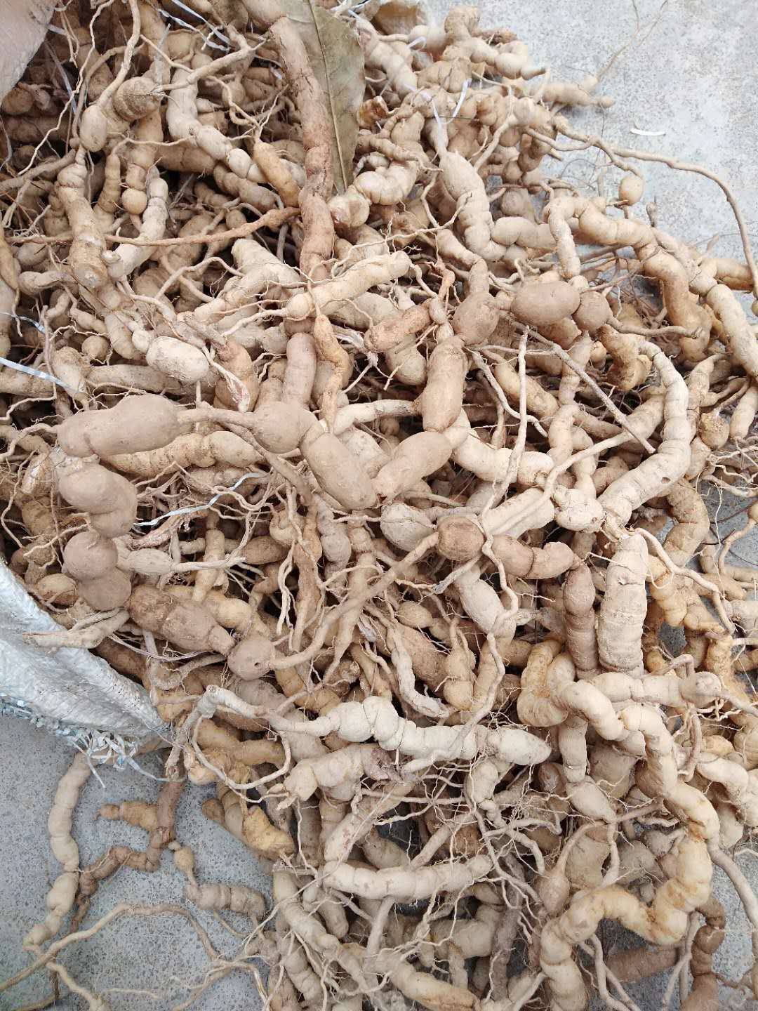 鸡肠风巴戟天野生无硫中草药材滋补食品升阳强筋骨煲汤男性泡酒料