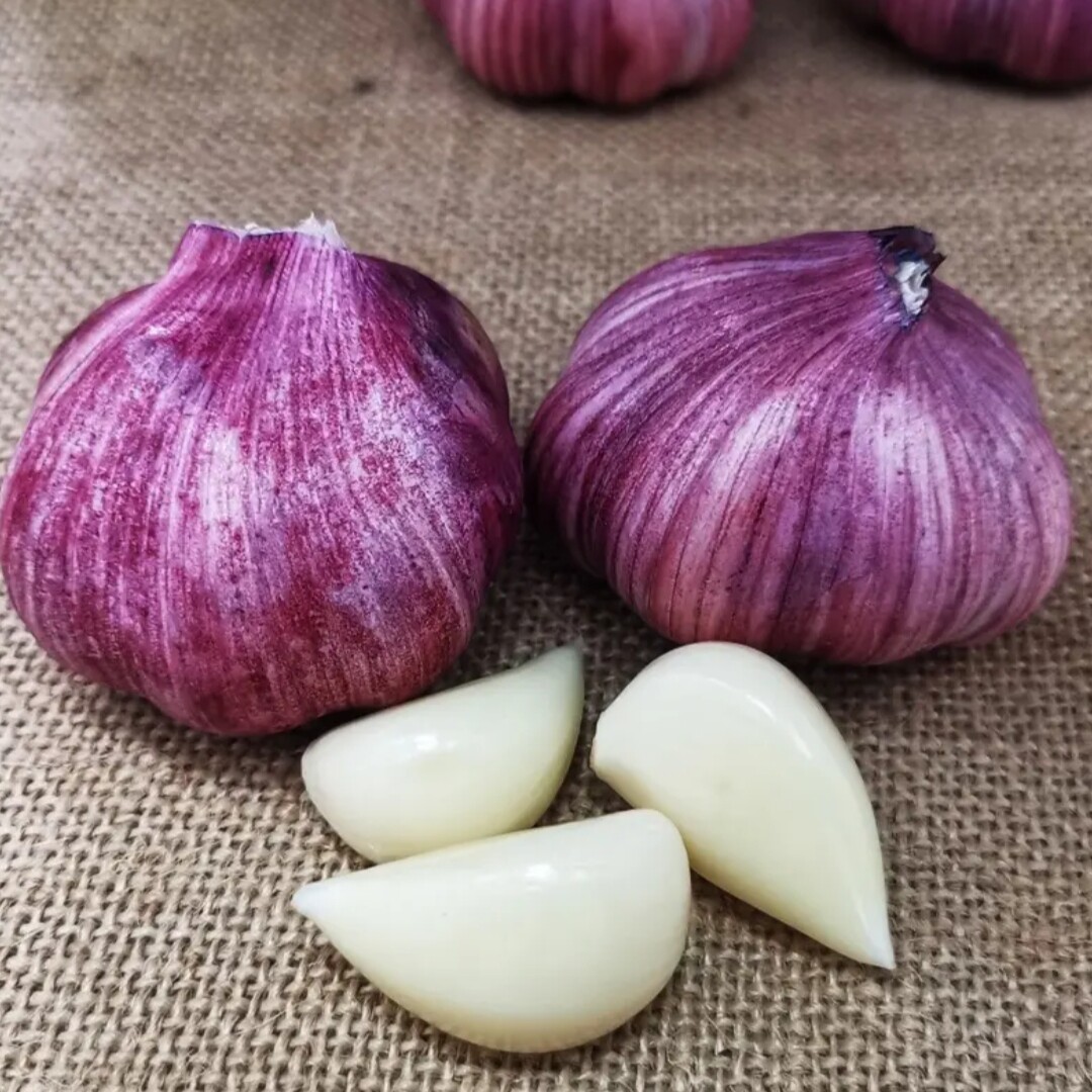 5斤 现挖新鲜蒜云南紫皮干湿大蒜头香辣泡蒜糖醋腌蒜红蒜炒菜佐料