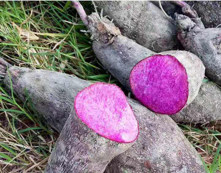 紫色山药淮山脚板大薯铁棍山药新鲜蔬菜土特色农产品药食同源保健