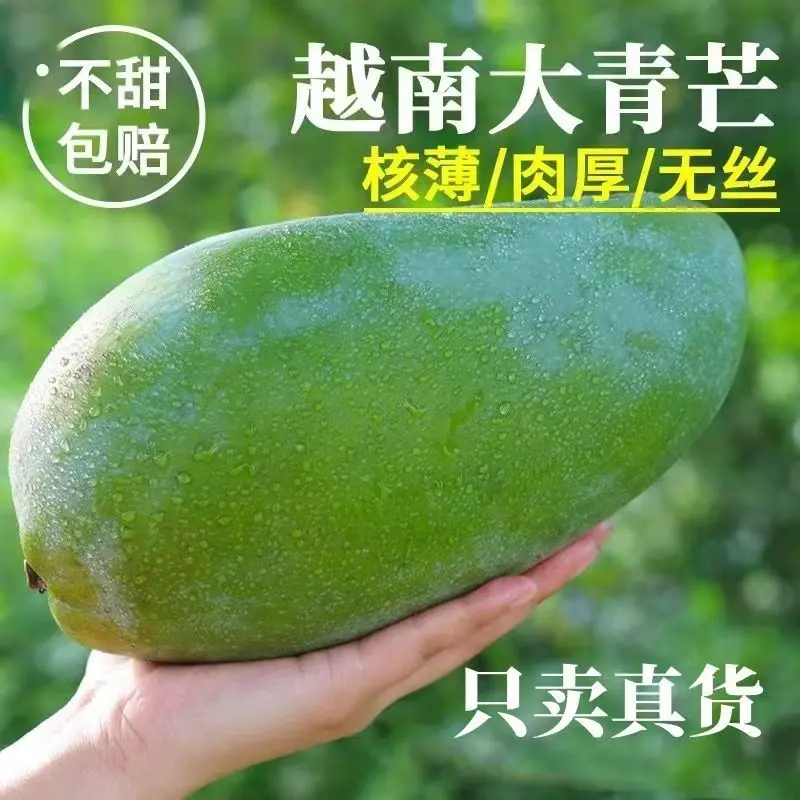 越南大青芒10斤应季热带青皮芒果