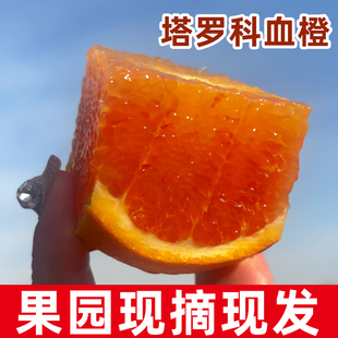 正宗重庆长寿湖塔罗科玫瑰血橙新鲜现摘当季孕妇水果整箱四川资中