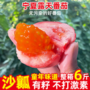 宁夏露天沙瓤西红柿新鲜自然熟老品种生吃水果番茄6斤非普罗旺斯