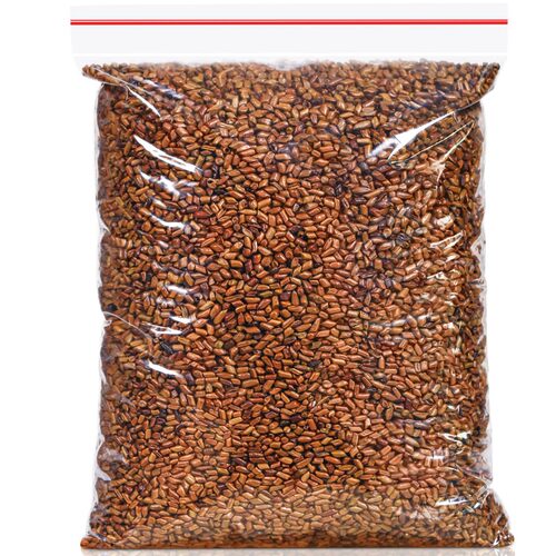 买1送1大颗粒炒熟决明子精选好货茶菊花决明子花草茶散装共发500g - 封面