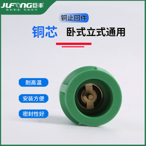 巨丰PPR止回阀家用水管配件卧立式单向阀4分6分单向热熔管逆止阀