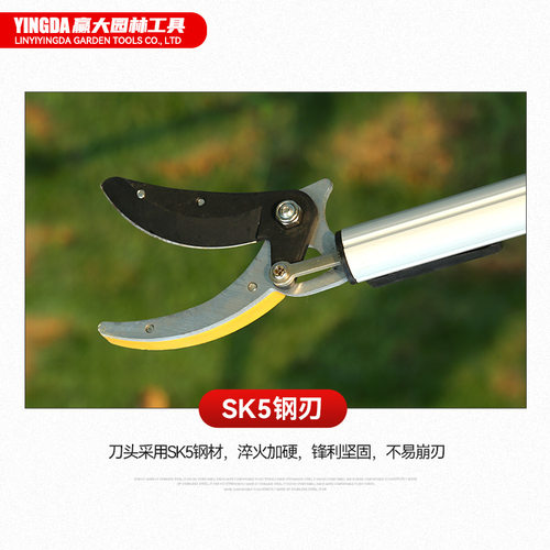 摘果剪高空修枝剪摘果器摘果伸缩柿子采摘荔枝龙眼园林工具修枝剪