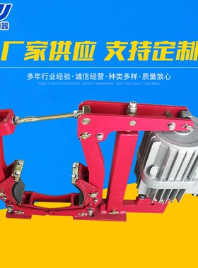 厂家生产现货供应YW200-E220电力液压鼓式制动器制动器
