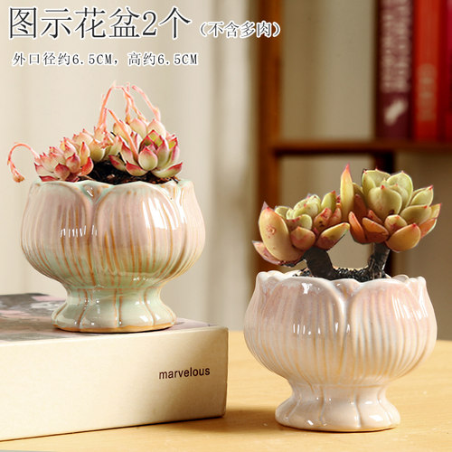 多肉陶瓷花盆个性简约创意莲花特价清仓透气家居装饰