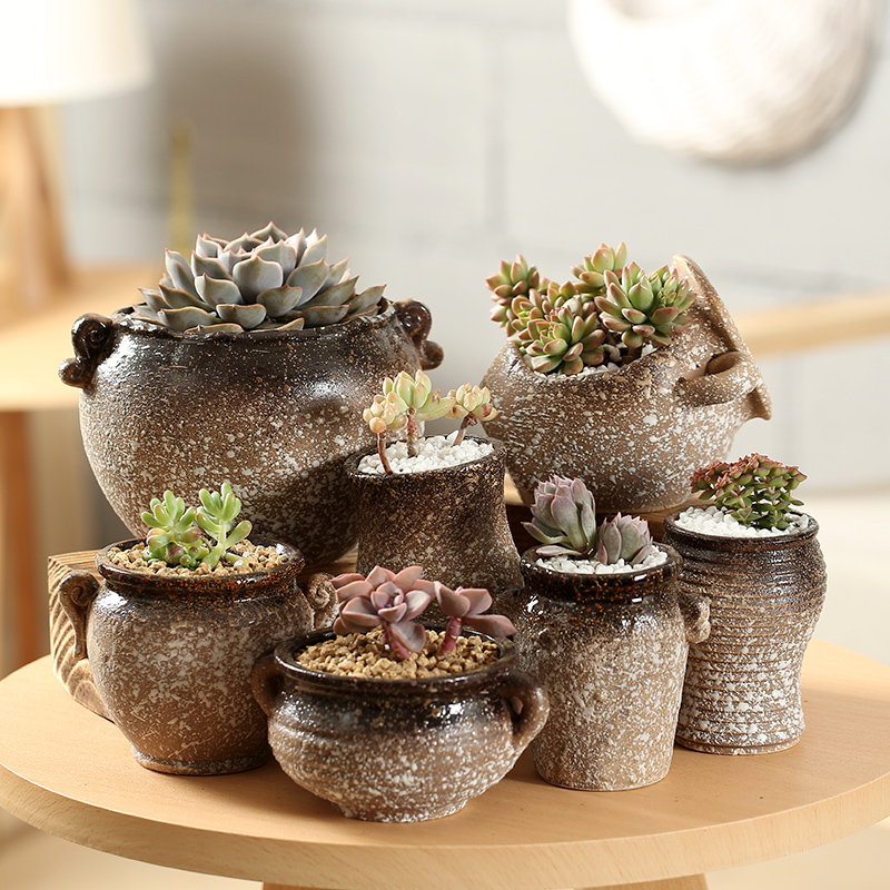 句号多肉花盆室内粗陶透气拼盘