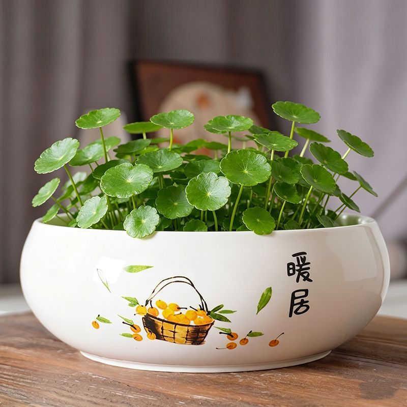 水培花盆陶瓷铜钱草无孔莲花大号缸盆睡莲水仙花碗莲一叶莲绿植盆