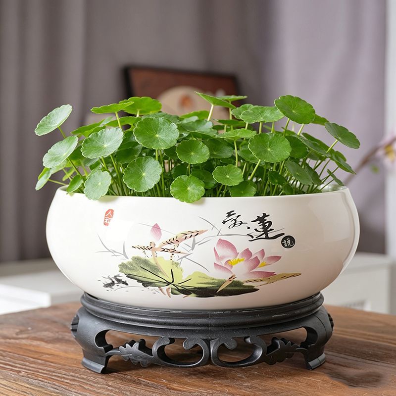 水培花盆陶瓷铜钱草无孔莲花碗莲大号缸盆睡莲水仙花一叶莲绿植盆
