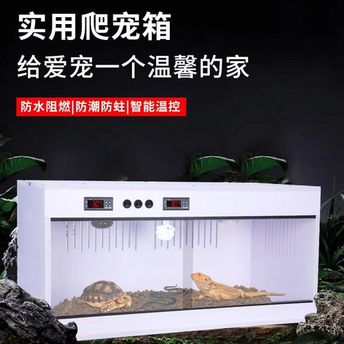 爬宠饲养箱实角蛙刺猬鸟鬃狮蜥蜴
