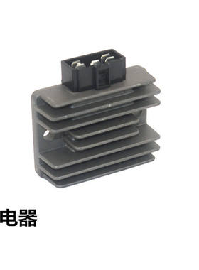 新大洲本田充电器锐彪稳压器