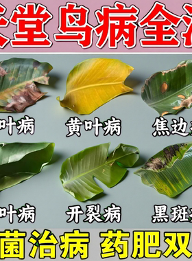 天堂鸟专用营养液鹤望兰肥料急救黄叶卷边开裂黑斑杀菌剂营养液肥