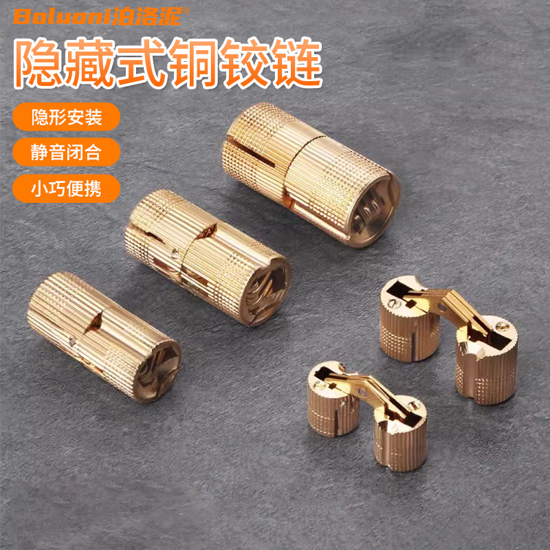电表箱门铰链一字铰暗藏式折叠折页五金配件家具隐形圆柱十字合页,基础建材,暗合页,淘宝优惠券,粉丝福利购,淘宝优惠卷
