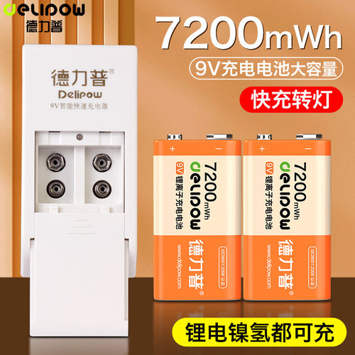 德力普9V锂电大容量快充套装