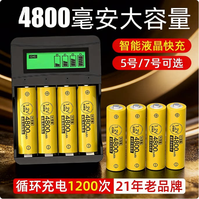 德力普5号AA充电电池套装
