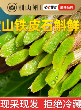 正品霍山铁皮石斛鲜条纯粉干条石斛茶养生茶中药材石斛鲜条 500g