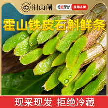 霍山铁皮石斛鲜条纯粉干条石斛茶养生茶中药材石斛鲜条 500g 正品