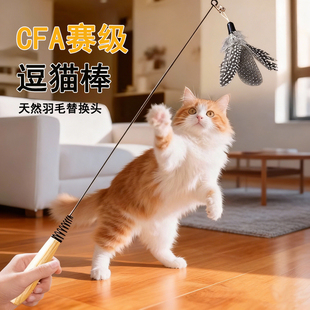 猫玩具CFA赛级逗猫棒幼猫斑点羽毛替换头耐咬猫用品猫咪玩具大全