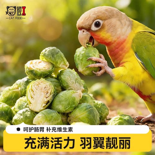鹦鹉孢子甘蓝水果蔬菜冻干辅零食