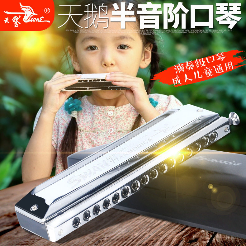 天鹅半音阶口琴10孔/12孔/16孔初学演奏SW1040 1248 1664专业乐器图片