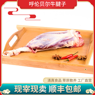 内蒙古精选南屯腱子肉3斤装酱牛肉原料 新鲜冷冻牛腱子肉清真包邮