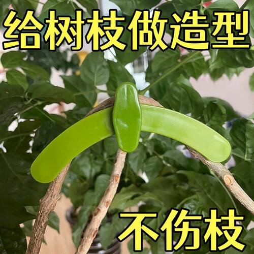 新款弯枝神器果树盆景方形专用压枝扭枝工具拉枝器拿底部透气