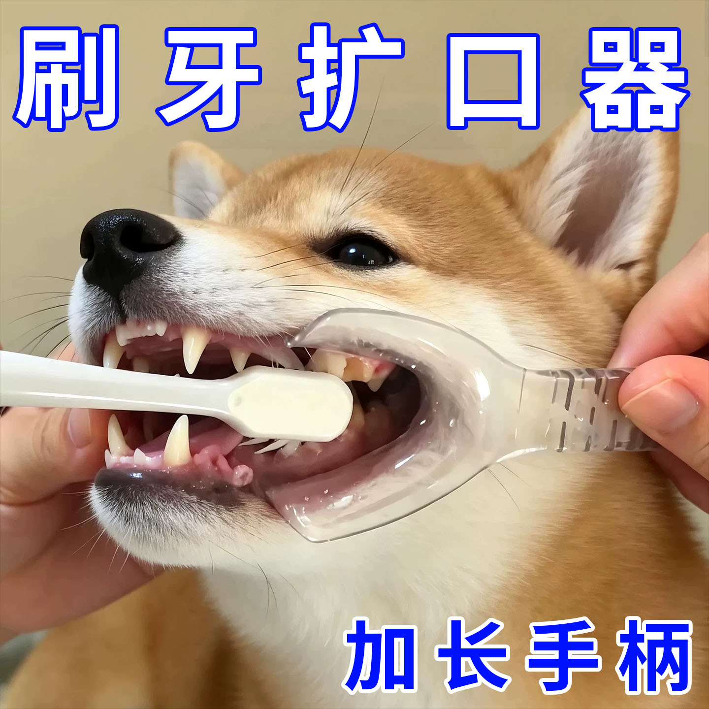 狗狗刷牙辅助器刷牙固定器口腔清洁辅助除牙垢开口器侧边扩口牙具图片