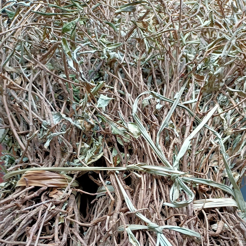 深山中草药吊石苣苔石吊兰山石杨梅白棒头岩泽兰岩豇豆岩茶巴岩草