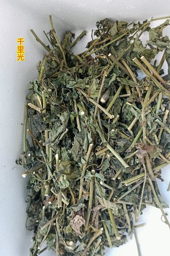 中药材千里光九里明自然晒干无硫