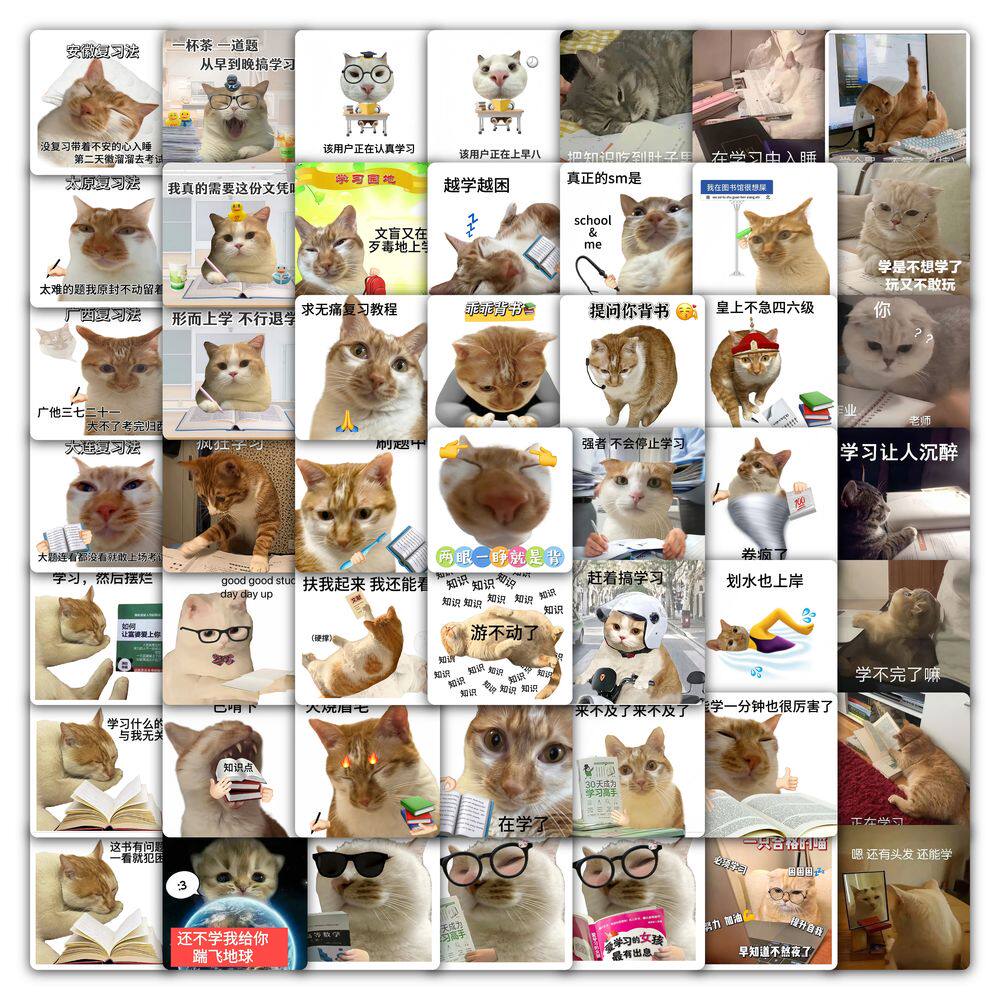 118张学习猫贴纸搞笑猫咪乖乖背书睁眼就是背表情包装饰防水贴画